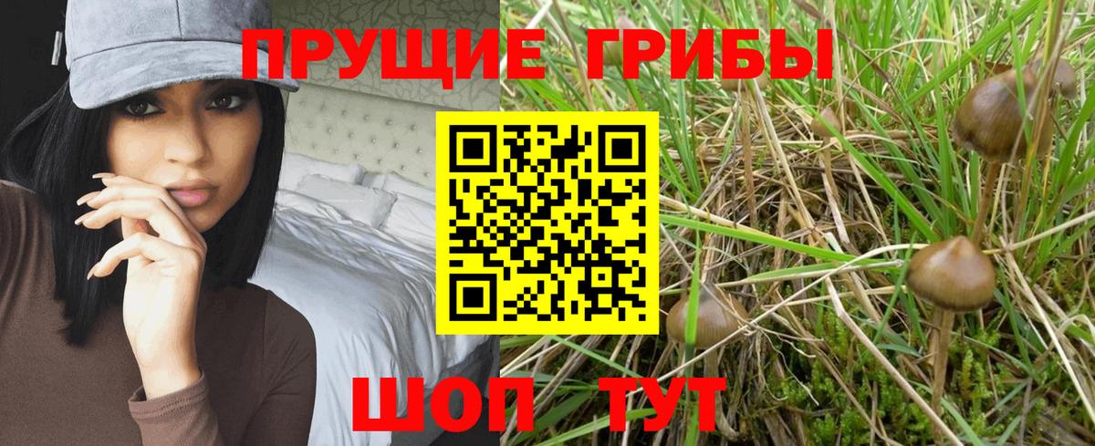 Псилоцибиновые грибы ЛСД  Вход с VPN  Нефтекамск 